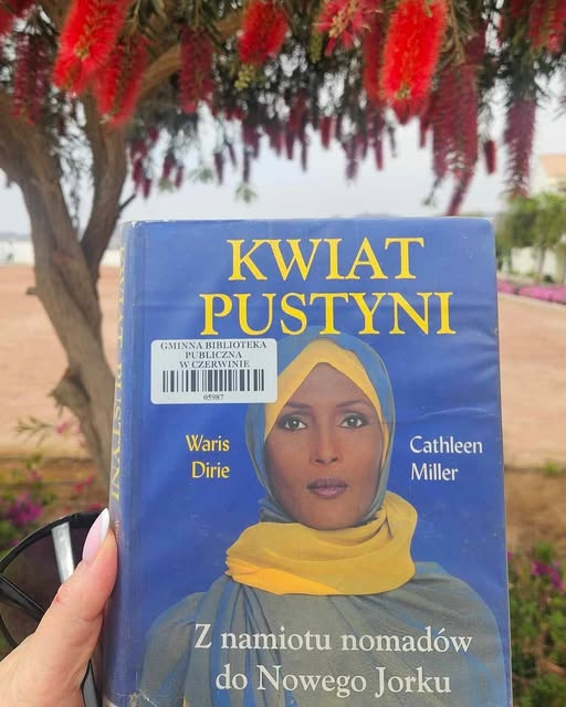 image-50 Książka poleca się do czytania